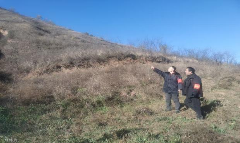 乡村振兴工作动态 (第175期)