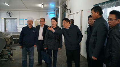 集团领导金辉率队到西安太阳食品有限公司调研
