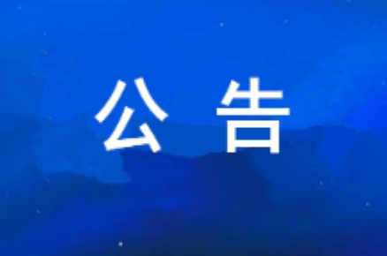 西安工业投资集团党委关于巡察集中整改​进展情况的通报